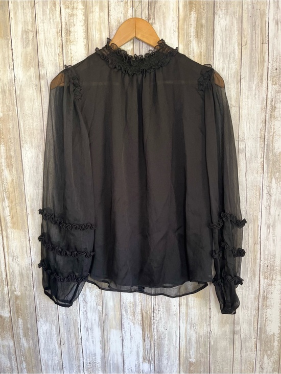 Ann Taylor Tops - Ann Taylor Sheer Black Ruffle Blouse Romantic Boho Long Sleeve High Neck Top M